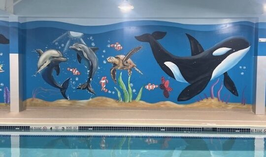 Project Spotlight: Goldfish Swim School – Orchard Park, New York